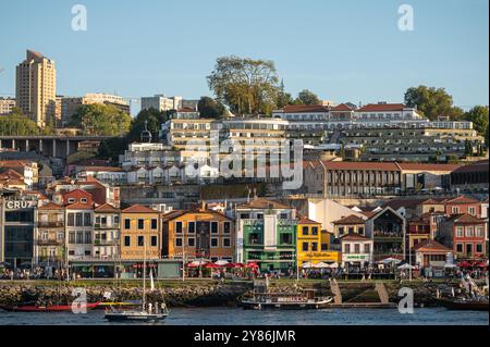 Porto, Portugal - 13. September 2024 : Gebäude am Flussufer in verschiedenen Farben befinden sich unter grünen Hügeln entlang des Flusses Douro. Stockfoto