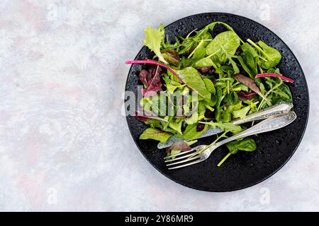 Frischer Salat aus rohen Frühlingsgemüse und Kräutern, serviert auf einem schwarzen Teller. Leerzeichen für Text. Stockfoto