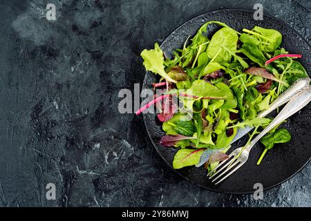 Frischer Salat aus rohen Frühlingsgemüse und Kräutern, serviert auf einem schwarzen Teller. Leerzeichen für Text. Stockfoto