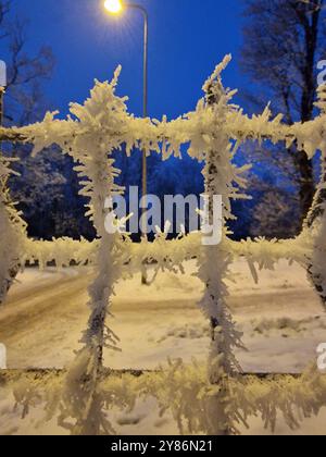 Eiskristalle auf einem Zaun Stockfoto