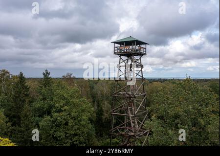 Ein hölzerner Aussichtsturm erhebt sich inmitten üppiger Grünflächen mit bewölktem Himmel. Stockfoto