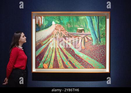 London, England, Großbritannien. Oktober 2024. Christie's Technician Looks at More Woldgate Timber, 13. Oktober 2009 von David Hockney während einer Pressevorschau zum 20./21. Jahrhundert London Evening Sale bei Christie's Das Kunstwerk wird auf 3.800.000 5.500.000 GBP geschätzt und wird am 9. Oktober 2024 versteigert. (Kreditbild: © Thomas Krych/ZUMA Press Wire) NUR REDAKTIONELLE VERWENDUNG! Nicht für kommerzielle ZWECKE! Stockfoto