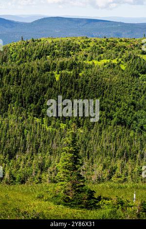 Berglandschaft auf der Halbinsel Gaspé Stockfoto