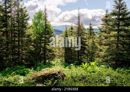 Berglandschaft auf der Halbinsel Gaspé Stockfoto