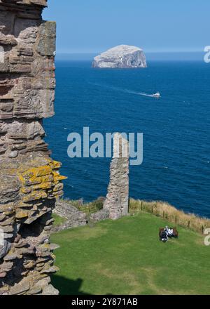 Bass Rock in Firth of Forth von Tantallon Castle aus gesehen. North Berwick, East Lothian, Schottland Stockfoto