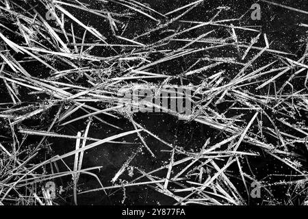 Dunkle und stürmische Wolken über grünen Blättern auf Bäumen und gelbes, sonnengebackenes Gras Stockfoto