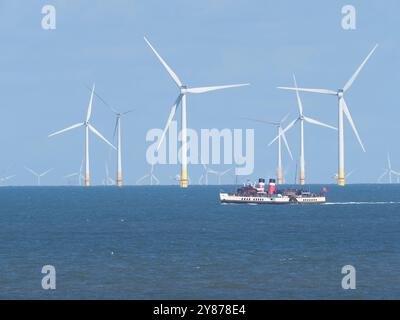 Warden Bay, Kent, Großbritannien. Oktober 2024. Der letzte Raddampfer der Welt, Waverley, hat heute Nachmittag die Windfarm Kentish Flats in der Themse vor der Warden Bay in Kent gesehen. Quelle: James Bell/Alamy Live News Stockfoto