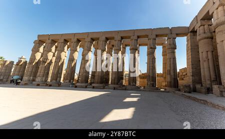 Luxor, Ägypten; 16. Januar 2024: Bewundern Sie die komplizierten Schnitzereien der römischen Säulen im Luxor-Tempel. Diese architektonischen Meisterwerke bieten Stockfoto