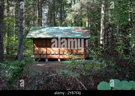 Hütte im Wald Stockfoto