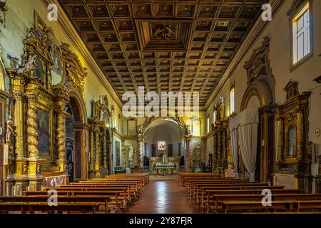 Das barocke und reich verzierte Kirchenschiff, das dem Heiligen Michael in der Stiftskirche San Michele Arcangelo gewidmet ist. Città Sant'Angelo, Abruzzen Stockfoto