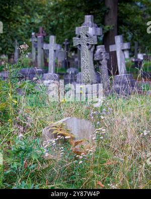Herbstliche Farben auf dem Brompton Cemetery. 1852 war es der erste Londoner Friedhof, der auf dem Gelände der Krone stand. Es wurde 1840 eröffnet Stockfoto
