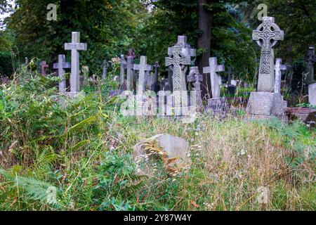 Herbstliche Farben auf dem Brompton Cemetery. 1852 war es der erste Londoner Friedhof, der auf dem Gelände der Krone stand. Es wurde 1840 eröffnet Stockfoto