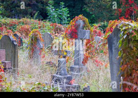 Herbstliche Farben auf dem Brompton Cemetery. 1852 war es der erste Londoner Friedhof, der auf dem Gelände der Krone stand. Es wurde 1840 eröffnet Stockfoto