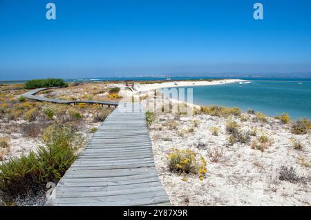 Ilha Deserta - Faro - Portogallo Stockfoto