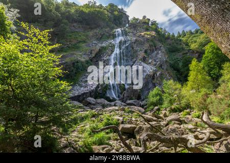 Powerscourt Wasserfall in Wicklow, Irland – dramatische Cascading Falls in einer üppigen Waldlandschaft Stockfoto