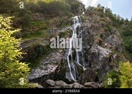 Powerscourt Wasserfall in Wicklow, Irland – dramatische Cascading Falls in einer üppigen Waldlandschaft Stockfoto