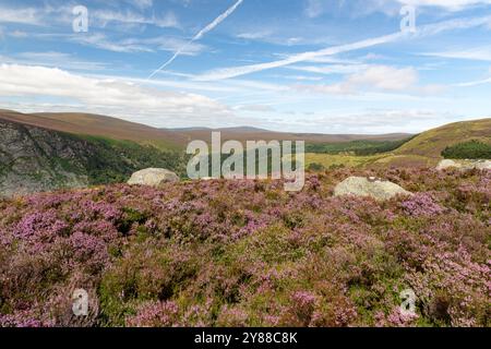 Weitläufige Landschaft von Luggala und Lough Dan in den Wicklow Mountains, Irland – Rolling Hills of Heather und Täler darunter Stockfoto