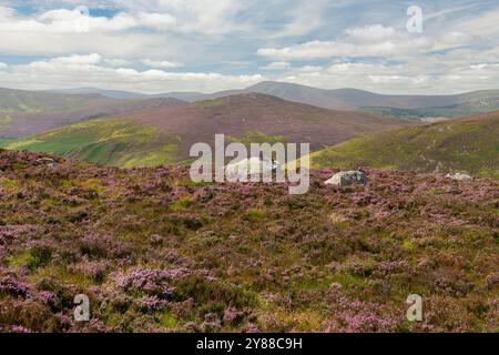 Weitläufige Landschaft von Luggala und Lough Dan in den Wicklow Mountains, Irland – Rolling Hills of Heather und Täler darunter Stockfoto