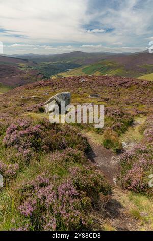 Weitläufige Landschaft von Luggala und Lough Dan in den Wicklow Mountains, Irland – Rolling Hills of Heather und Täler darunter Stockfoto