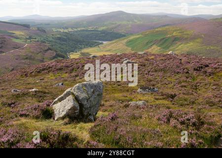 Weitläufige Landschaft von Luggala und Lough Dan in den Wicklow Mountains, Irland – Rolling Hills of Heather und Täler darunter Stockfoto