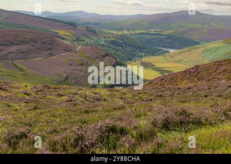 Weitläufige Landschaft von Luggala und Lough Dan in den Wicklow Mountains, Irland – Rolling Hills of Heather und Täler darunter Stockfoto