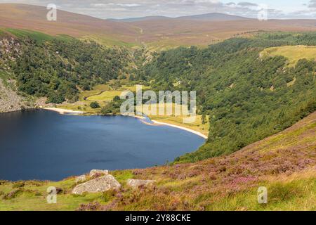 Malerischer Blick auf Lough Tay und Heather-Covered Hills in den Wicklow Mountains, Irland – der berühmte Guinness Lake umgeben von Rolling Hills Stockfoto