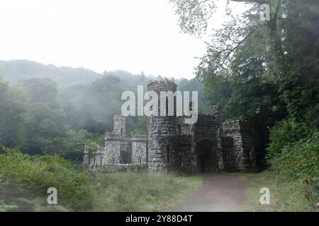 Verlassene Ballysaggartmore Towers umgeben von Misty Woodland in Lismore, Irland – historische Architektur in einer mystischen irischen Landschaft Stockfoto