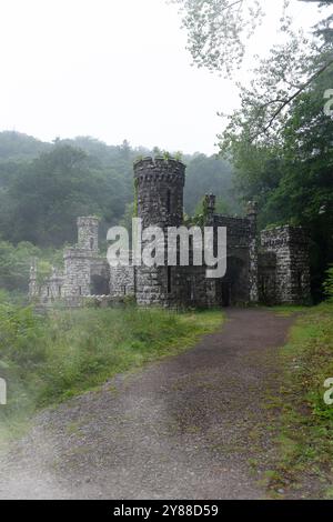 Verlassene Ballysaggartmore Towers umgeben von Misty Woodland in Lismore, Irland – historische Architektur in einer mystischen irischen Landschaft Stockfoto