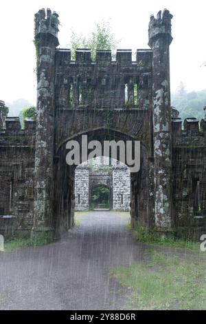 Verlassene Ballysaggartmore Towers umgeben von Misty Woodland in Lismore, Irland – historische Architektur in einer mystischen irischen Landschaft Stockfoto