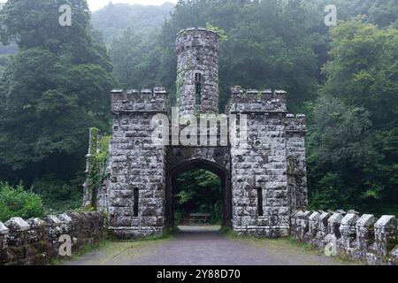 Verlassene Ballysaggartmore Towers umgeben von Misty Woodland in Lismore, Irland – historische Architektur in einer mystischen irischen Landschaft Stockfoto