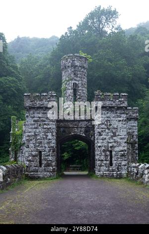 Verlassene Ballysaggartmore Towers umgeben von Misty Woodland in Lismore, Irland – historische Architektur in einer mystischen irischen Landschaft Stockfoto