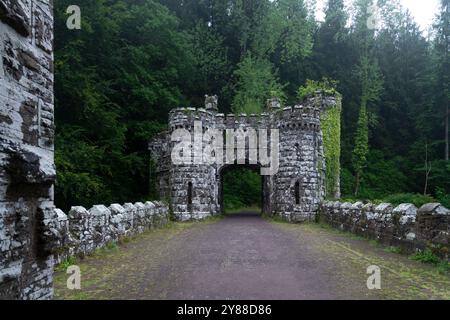 Verlassene Ballysaggartmore Towers umgeben von Misty Woodland in Lismore, Irland – historische Architektur in einer mystischen irischen Landschaft Stockfoto