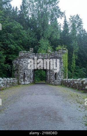 Verlassene Ballysaggartmore Towers umgeben von Misty Woodland in Lismore, Irland – historische Architektur in einer mystischen irischen Landschaft Stockfoto