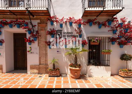 Das Gebäude ist mit blauen Töpfen mit roten Pflanzen an der Fassade im alten Teil von Marbella dekoriert. Stockfoto