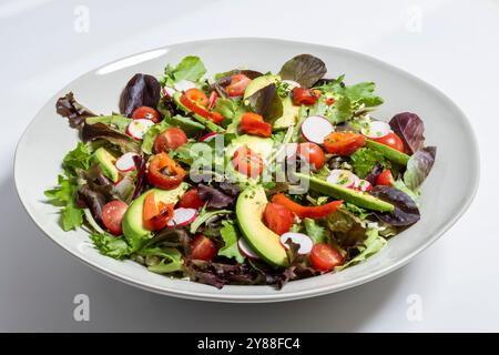Hausgemachter Salat mit Avocado, Tomaten, Rucola, Gewürzen und Kräutern, bereit zum Essen Stockfoto