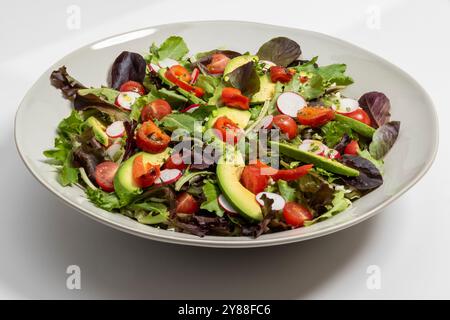 Hausgemachter Salat mit Avocado, Tomaten, Rucola, Gewürzen und Kräutern, bereit zum Essen Stockfoto