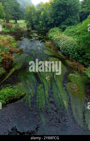 Fließendes Wasser unter dem Durrow Viaduct in der Nähe von Waterford, Irland – natürliche Grünmuster im Fluss Tay Stockfoto