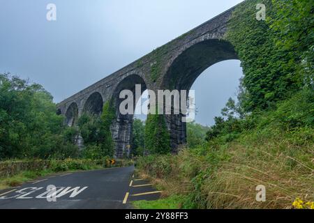 Durrow Viaduct in der Nähe von Waterford, Irland – Historic Stone Railway Bridge in üppiger Landschaft Stockfoto