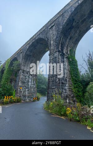 Durrow Viaduct in der Nähe von Waterford, Irland – Historic Stone Railway Bridge in üppiger Landschaft Stockfoto