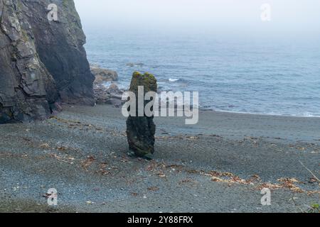 Wilder und geheimnisvoller Strand Trá-na-mBó, Bunmahon, Irland – die felsige Küste in Fog and Mist sorgt für eine unüberirdische Atmosphäre Stockfoto