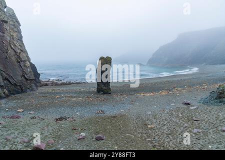 Wilder und geheimnisvoller Strand Trá-na-mBó, Bunmahon, Irland – die felsige Küste in Fog and Mist sorgt für eine unüberirdische Atmosphäre Stockfoto