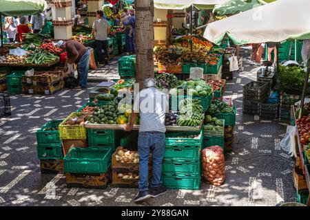 Die Menschen kaufen frisches Obst und Gemüse auf dem berühmten Markt Mercado dos Lavradores in Funchal, Madeira. Stockfoto