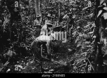 Australische Ingenieure schnitten eine Jeep-Strecke durch den dichten Dschungel nördlich von Gusika, wo dem Feind schwere Verluste zugefügt wurden. Dezember 1943. Stockfoto