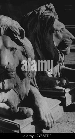 Eine von zwei Löwenstatuen Replikaten der Landseer Löwen am Trafalgar Square, die in den Botanischen Gärten von Sydney errichtet werden sollen. Nicht die umstrittene umgedrehte Pfote. Januar 1946. Stockfoto