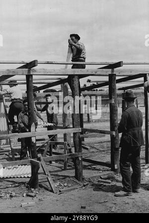 Gefangene-of-war Camp (N.S.W.) – ein geschickter italienischer Handwerker baut ein neues Geflügel, das hauptsächlich aus Holz stammt und von Kriegsgefangenen aus dem Busch gebracht wird. November 1942. Stockfoto