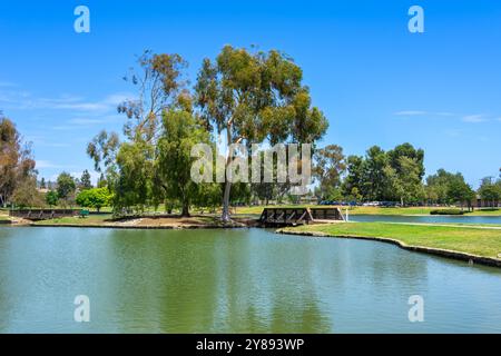 Placentia, CA, USA - 12. Juli 2024: Blick auf Eukalyptusbäume mit Teich und Brücke im Tri City Regional Park in Orange County City of Pla Stockfoto