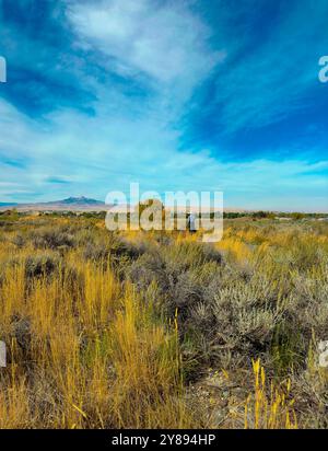 Frau geht mit Hund auf dem Weg mit goldener Farbe vor blauem Himmel Hintergrund. In der Ferne liegt der Heart Mountain bei Cody, Wyoming. Querformat anzeigen. Stockfoto