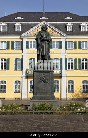 Das Beethoven-Denkmal erinnert an den berühmten Komponisten Ludwig van Beethoven auf dem Münsterplatz in Bonn, Nordrhein-Westfalen, Deutschland, Europa Stockfoto