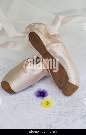 Ballettschuhe, spitzenschuhe, Tanzschuhe mit Satin in hellrosa Farbe, Ledersohle, Blüten, Stiefmütterchen, Veilchen (Viola), gehörnte Veilchen, sti Stockfoto