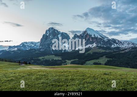 Panoramablick auf die Langkofel Gruppe von der Seiser Alm in den Dolomiten in Südtirol, Italien, Europa Stockfoto